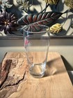 Coors Light Pint Beer Glass Etched Mountain