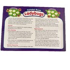 Lakeshore Learning Alphabet Boxes Ladybug Matching Mats 