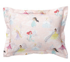 Pottery Barn Kids Disney Princess Castle Cotton Duvet Cover Sham Twin Pick Piece