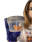 Super Cool Duck Shaped Cheeto Handled With Respect And Gloves But Do Not Eat       