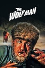 1941 The Wolf Man Movie Poster 11x17 Lon Chaney Gwen Conliffe Bela Lugosi         