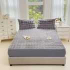 Thicken Plush Fluffy Fitted Sheet Winter Warm Bedspread Swith Two Pillowcases