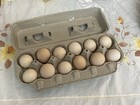 Mottled Cochin Bantam Hatching Eggs 6