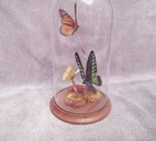 Vtg Glass Dome Real Butterfly Terrarium Taxidermy Display Monarch Birdwing 12 