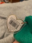 In Case And Tag Protector Ty Beanie Baby Erin The Bear 1997 Retired Plush Toy