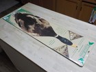 Double Decoy  reversible  Waterfowl Decoy Snow Goose   Mallard Duck Decoys