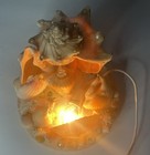 Vintage Sea Shell Lamp With Seashells Beach House Works  6    In Tall