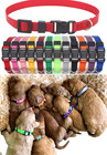 12 Pcs set Soft Nylon Puppy Whelping Id Collars - Adjustable Breakaway Litter Co