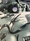 Les Claypool Poster Fearless Flying Frog Brigade Chicago Signed Autographed  320