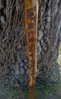 Hand Made Twisted Walking Stick