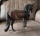Romantico 2024 Glossy Best Offer Andalusian