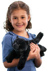 Tug 14  Black Cat Stuffed Animal Plush Cat By Douglas Cuddle Toy   new Version  