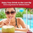  300 Count  Individually Wrapped  Restaurant Grade Drinking Straws By Avant Grub