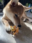 Shiba Inu Cute Puppy Toy Keychain Charm Akita Japanese Dog