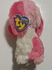 Ty Beanie Boo s Cookie Plush Dog With Heart Nwt