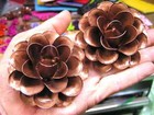 Two Large Metal Rose Gold Colored Flowers For Accents  Embellishments  Crafts