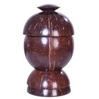 Handmade Natural Coconut Shell Containers For Kitchen Countertop Storage  One 