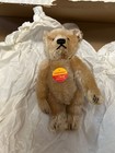 Steiff Celebration Book    Bear Set W teddy Bear Blonde 22 And Certificate  2281
