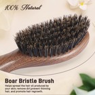 Bestool Hair Brush natural Walnut Wood   Boar Bristle Brushes For Brown 