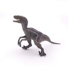 Papo The Dinosaur Figure  Velociraptor  Multicolor