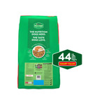 Purina Dog Chow Complete Adult Dry Dog Food  High Protein Real Chicken  44 Lb