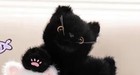 Black Kitten Cat 14  Pillow Stuffed Animal Plush Toys Toddler Doll Kids Gifts