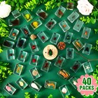 40 Pcs Insect In Resin Specimen Various Bugs Collection Paperweights Bug Kit