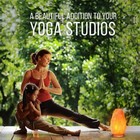 Himalayan Salt Lamp 10 In  Tall With Dimmer Switch - Night Light Table Lamp