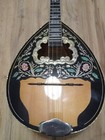 Greek Bouzouki With Hardcase   Pick Up   Tuner   300 Backing Track With Scores 