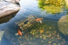 Aquascape Faux Log Fish Cave  78324