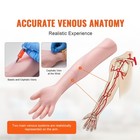 Iv Practice Kit Phlebotomy Venipuncture Practice Arm For Students Nurses