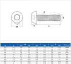 Titanium Gr2 Iso7380 Hex Socket Bolts Button Head Screws M2 M2 5 M3 M4 M5 M6