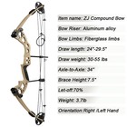 30-55lbs Compound Bow Set Hunting Carbon Arrows Archery Target Shooting Rh Lh Us