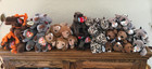 Lot Of 40 Ty  Beanie Babies Wild Zoo Babies