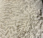 Vtg Large Natural White Brain Coral Specimen Coastal Nautical Decor 11    9 Lbs