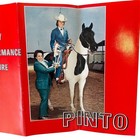 Pinto Horse Association Of America Inc Brochure 1971 Vintage Horse Breed Info