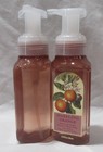 Bath   Body Works Gentle   Clean Foaming Hand Soap Lot Set Of 2 Sparkling Orange