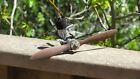 Vintage Ohlsonn   Rice  23 23 Gas Tether Plane Airplane Engine W  Prop