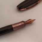Visconti Michelangelo Black Fountain Pen - With Bronze Trim