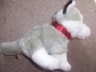 Fao Schwarz Siberian Husky Puppy Dog Plush Stuffed Animal With Tags 10 