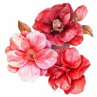 Watercolor Red Camelia Flower Decals For Cars  Floral Bumper Sticker  Vehicle