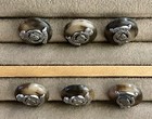 50 Ralph Lauren Replacement Cuff Buttons 5 8     Brown Tortoise Shell Big Cat  New