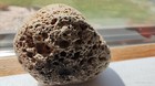 Rare Unknown Gemstone Rock Mineral Specimen 40g Estate Find Fossil Shell  Chalky