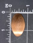 Winnie The Pooh Piglet Disneyland Elongated Pressed Smashed Squished Flat Penny