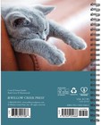Willow Creek Press What Cats Teach Us 2026 Engagement Planner     Multicolor 