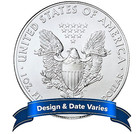  1 American Silver Eagle 1 Oz Random Year Brilliant Uncirculated