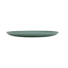 Sage Round Plastic Plate  10 5 Inch