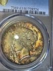 1926 S  1 Peace Dollar Pcgs Ms63 Toned