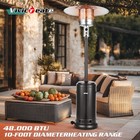 Vivicreate 48000 Btu Patio Heater Garden Restaurant Party Hotel Club Heater