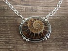 Native American 19  Sterling Silver   Moroccan Ammonite Link Necklace By Begay